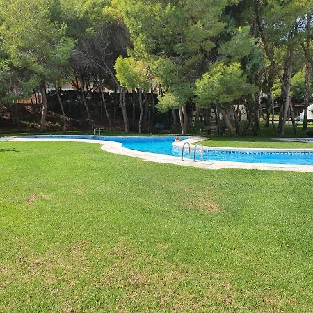 Apartment In Campoamor Overlooking The Swimming Pool Esterno foto