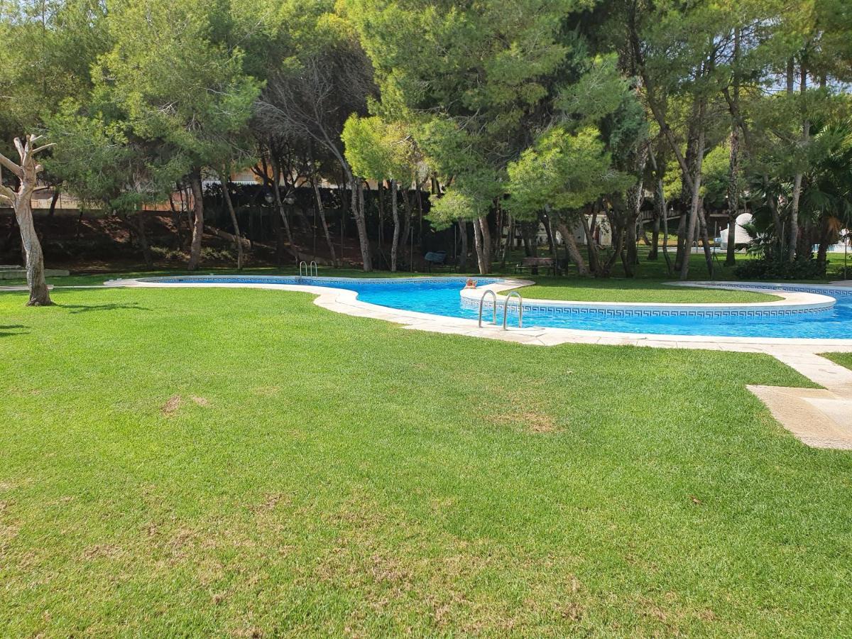 Apartment In Campoamor Overlooking The Swimming Pool Esterno foto