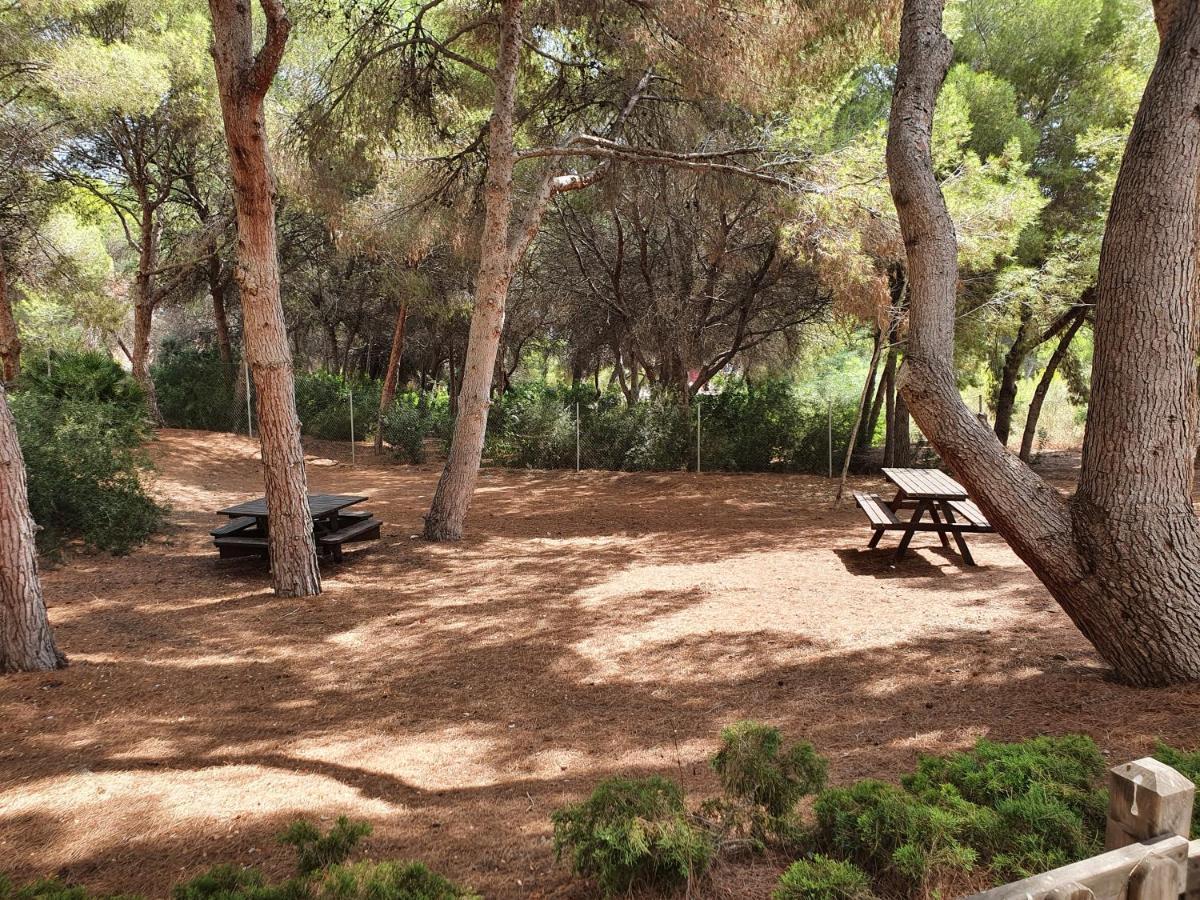 Apartment In Campoamor Overlooking The Swimming Pool Esterno foto