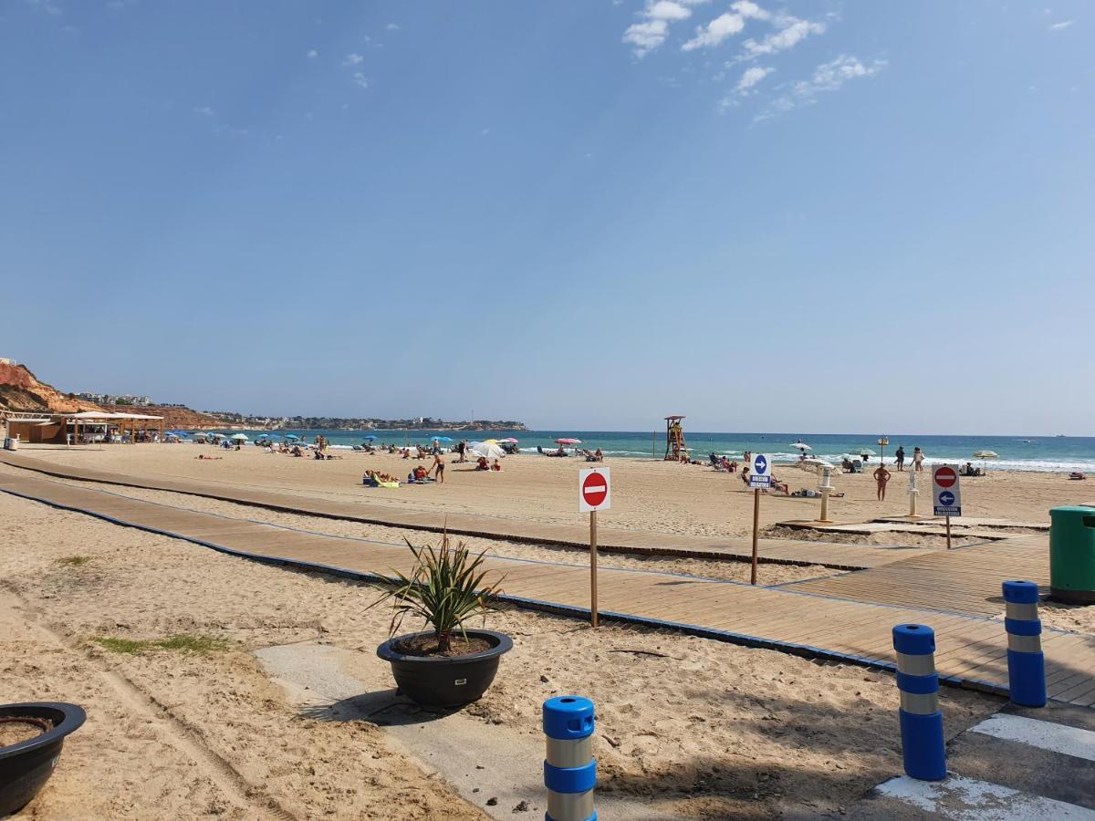 Apartment In Campoamor Overlooking The Swimming Pool Esterno foto